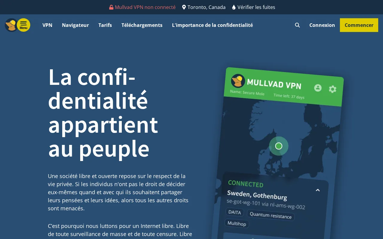 Capture d'écran de Mullvad VPN