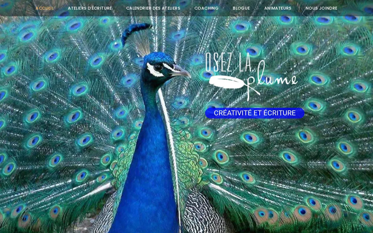 Capture d'écran de Osez la plume